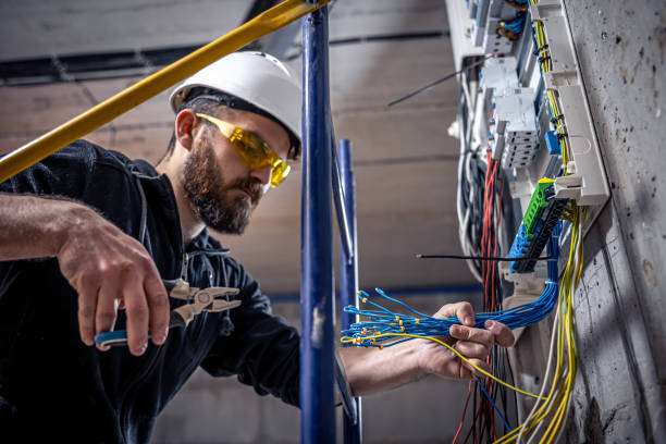 Best Electric Panel Repair  in Pine Castle, FL