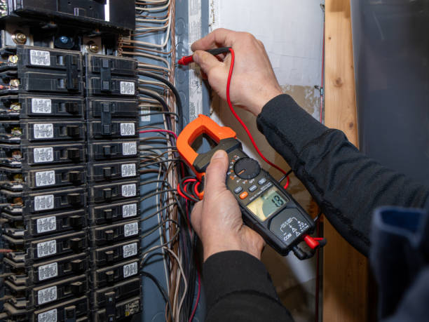 Best Affordable Electrician  in Pine Castle, FL